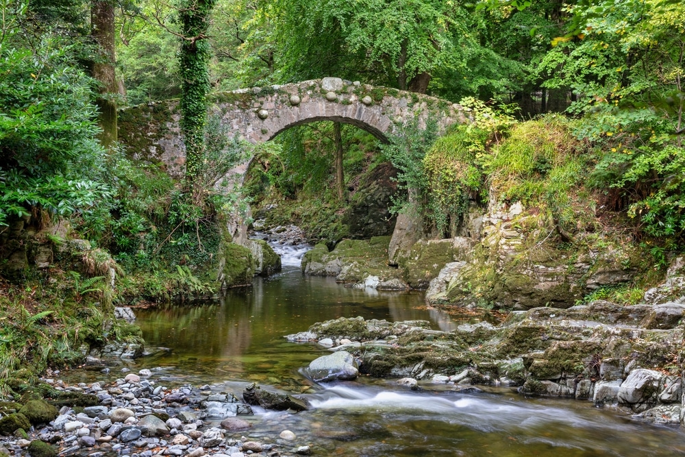 Fall image of Foley's Bridge, built in 1787, located in Tolleymore Forest Park in Northern Ireland.