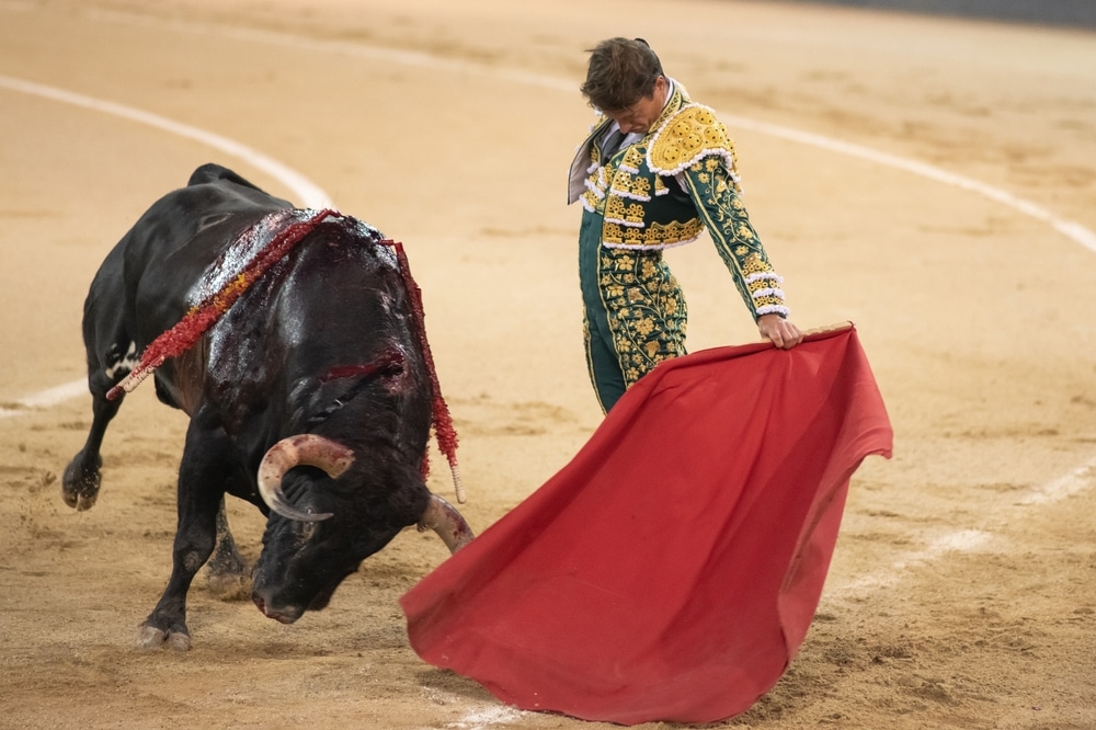 Bullfighter Lama de Góngora during the bullfight with bulls from the El Torero ranch at the Plaza de las Ventas in Madrid, 15 de agosto , 2025, Spain.