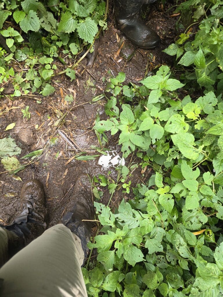 The trail was really muddy!