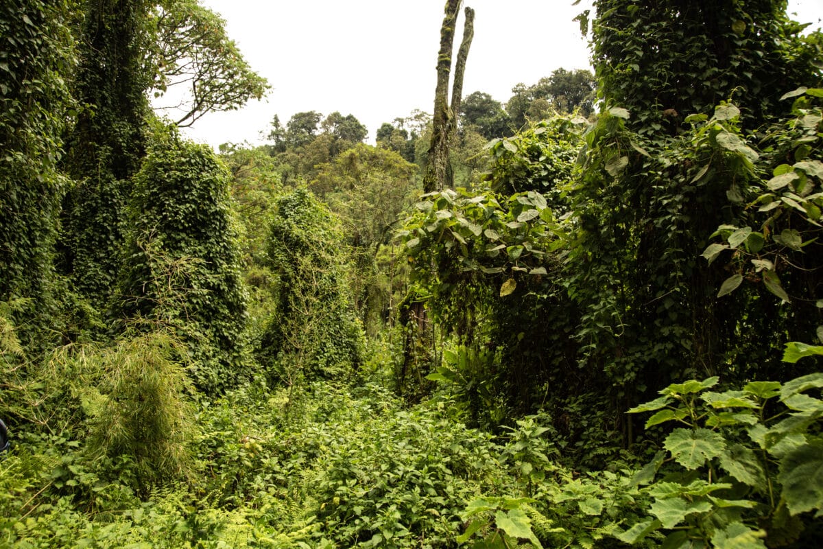This was some very different hiking terrain than what I am used to!