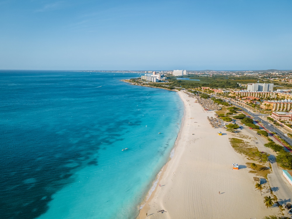 Eagle Beach Aruba, Palm Trees on the shoreline of Eagle Beach in Aruba, drone view at a beach with palm trees and umbrellas
