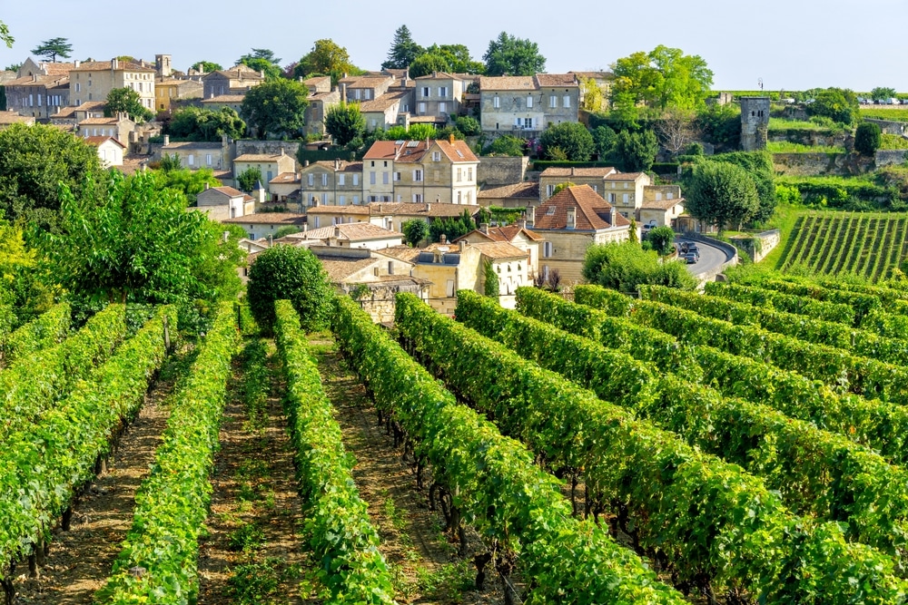 View on vineyards of Saint Emilion village in Bordeaux region, France