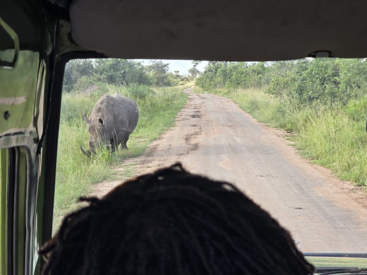 Driving on a safari in Rwanda