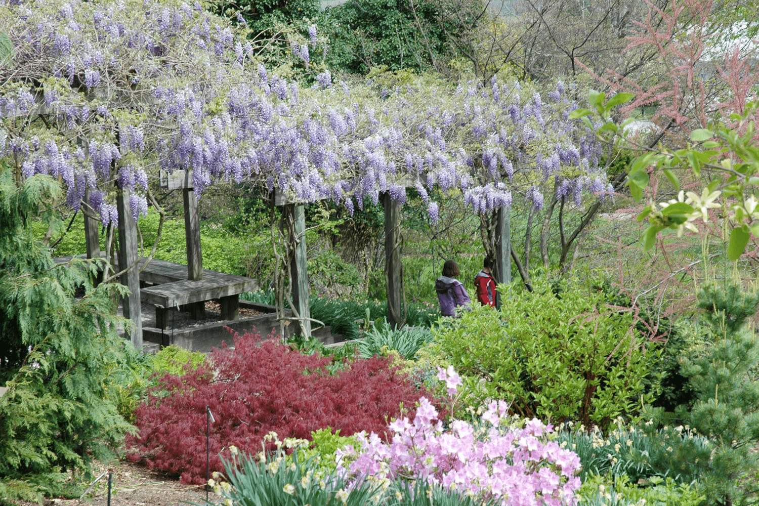 A New Study Just Ranked the 10 Best Botanical Gardens in America – and the Winner Is in Indiana