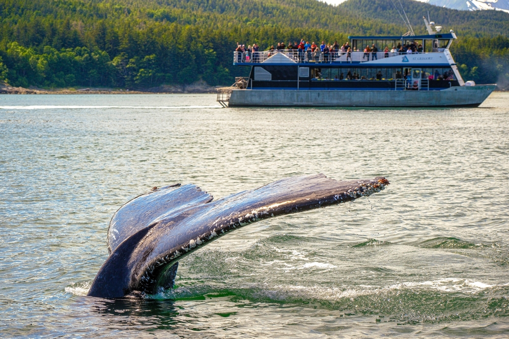 JUNEAU, ALASKA- July 7, 2024: The City of Juneau is the capital city of Alaska. Juneau's population can increase by roughly 6,000 people from cruise ships between the months of May and September.