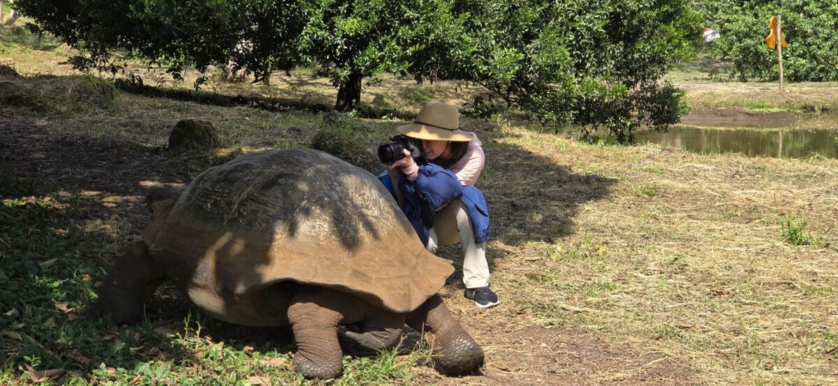 Lindsey of Have Clothes Will Travel photographing a giant tortoise in the Galapagos