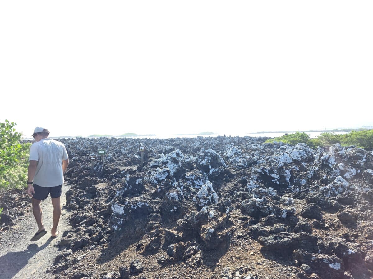 Tintoreras walk