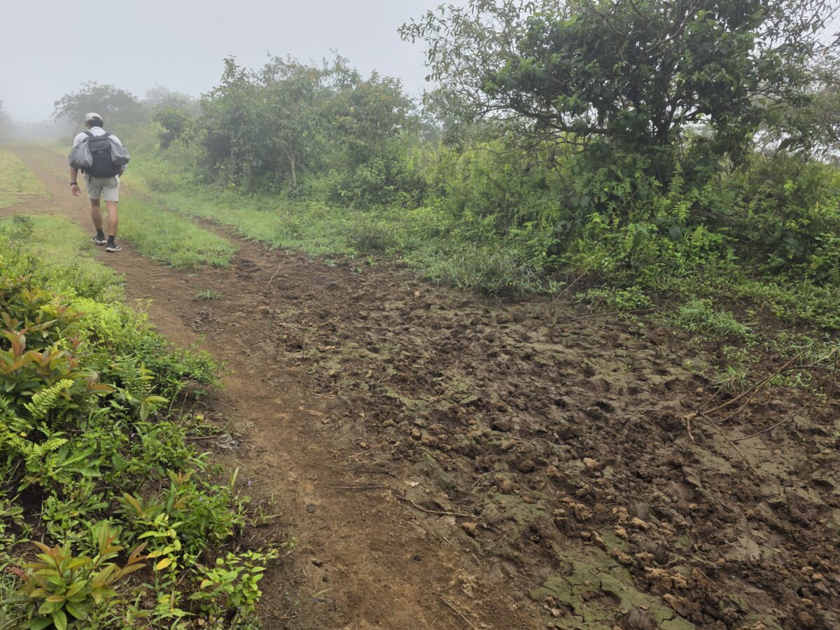 Sierra Negra Volcano Hike in the Galapagos