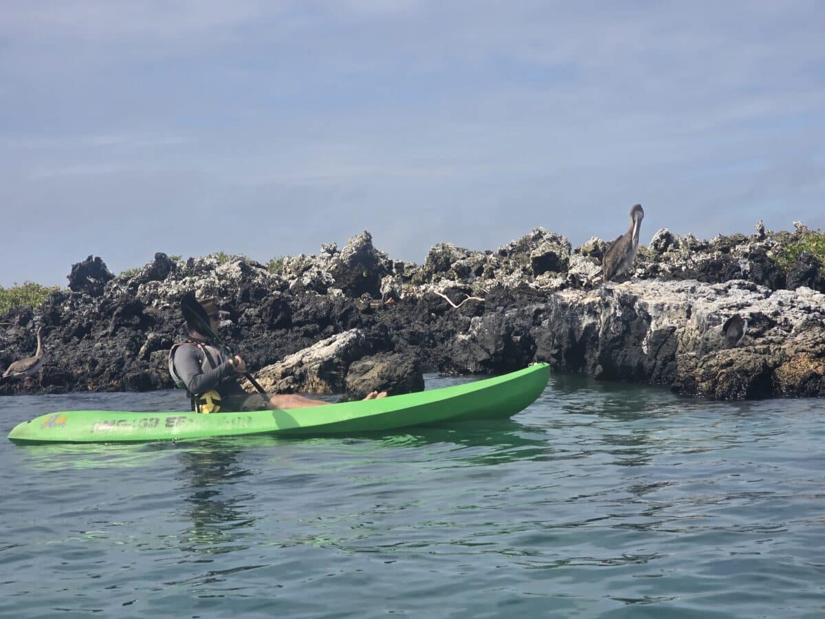 Sea kayaking in the galapagos