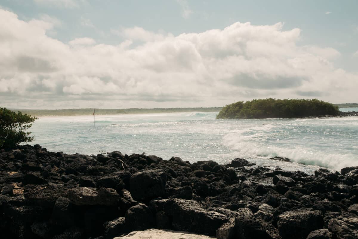 Tortuga Bay