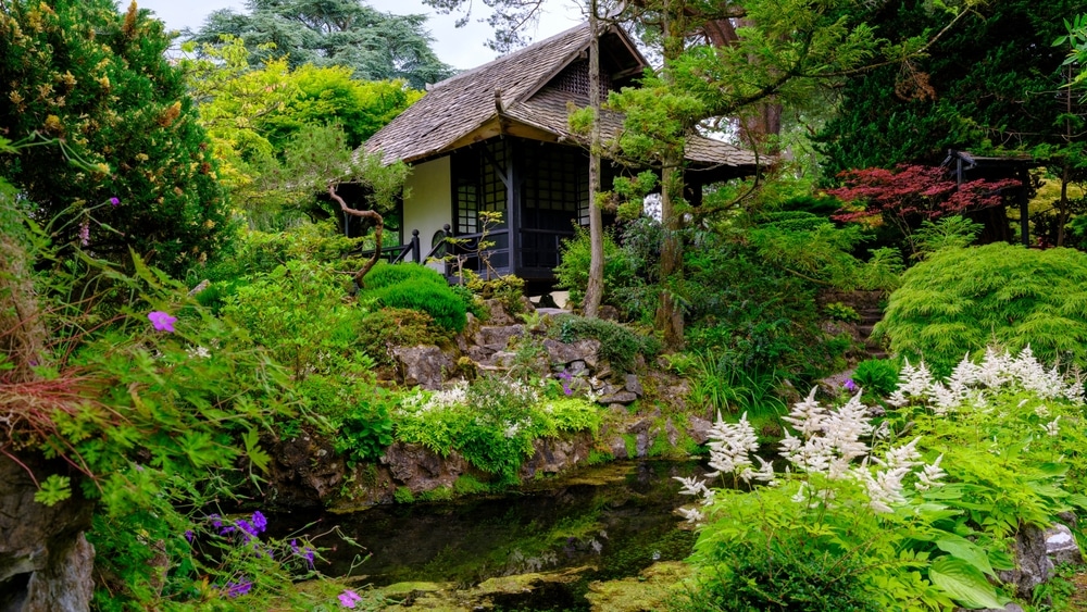 Kildare, Ireland - June 24, 2024: Views of the Japanese garden at the Irish National Stud near Kildare, Ireland
