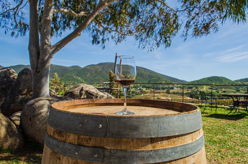 Glass of wine in front of beautiful landscapes with a beautiful blue sky in the Santo Tomas vineyards, in the Guadalupe Valley, Ensenada, Baja California, Mexico