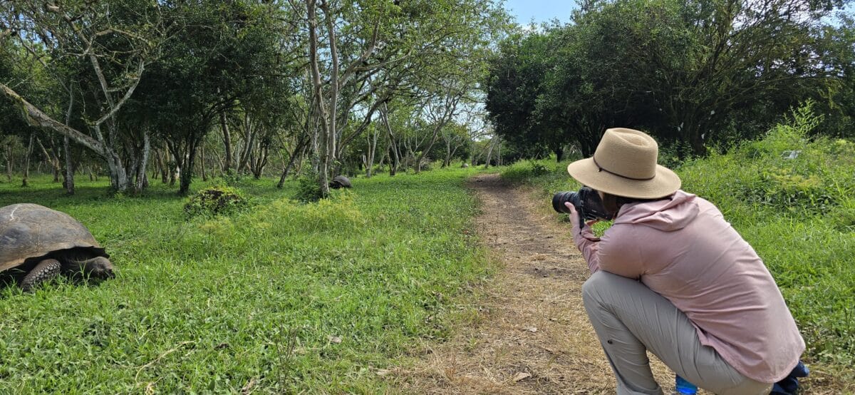 Lindsey photographing a giant tortoise in the Galapagos