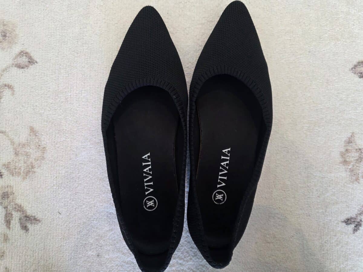 My Aria 2.0 flats from Vivaia after 5+ years of wear.