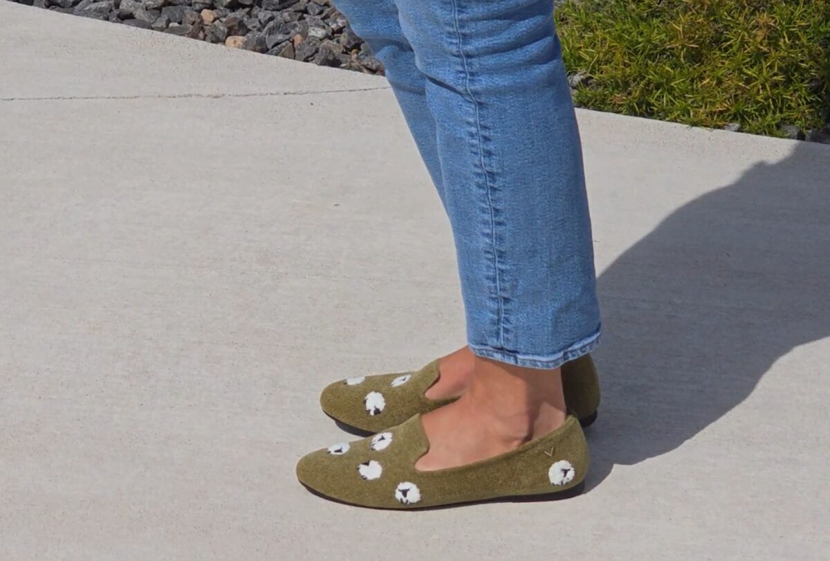 sheep shoes
